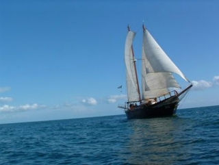  Excursión en lancha 